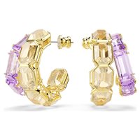 Orecchini Swarovski Donna millenia in Argento 5725757 - 5725757